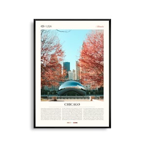 Chicago print Illinois, Chicago Wall Art, Chicago poster, stadsgezicht foto, decor Lake Michigan, stedelijke skylinefotografie