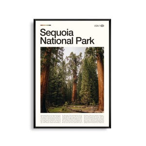 Impresión del Parque Nacional Sequoia, California, Arte mural de sequoia gigante, Póster de sequoia, Foto de paisaje de Sierra Nevada, Decoración natural