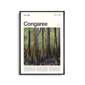 Arte mural del Parque Nacional Congaree, Carolina del Sur, Impresión de paisajes silvestres, Póster de Congaree, Fotografía de naturaleza escénica, Decoración del sureste