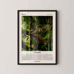 May include: Framed print featuring a photograph of the Amazon rainforest. A leopard with spotted fur rests on a tree branch, surrounded by lush green foliage. The word "AMAZON" is printed at the bottom of the image, along with additional text.