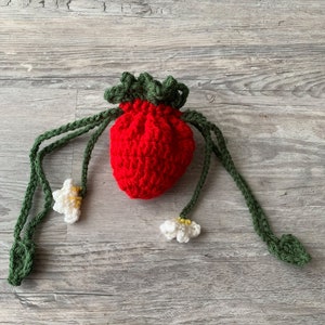 Strawberry Pouch
