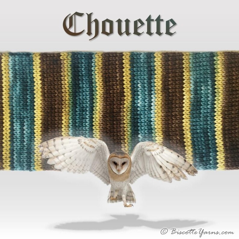 Bis-sock yarn Chouette self-striping hand-dyed yarn