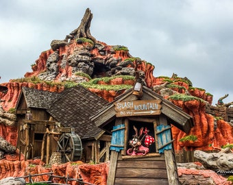 Splash Mountain at Magic Kingdom, Disney World