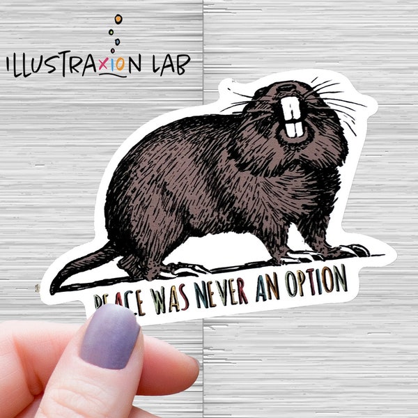 Peace Was Never an Option Sticker | Sarcasm Sticker | Water Proof Sticker | Choose Violence | Laptop Decal | Funny Sticker | Salty Sticker