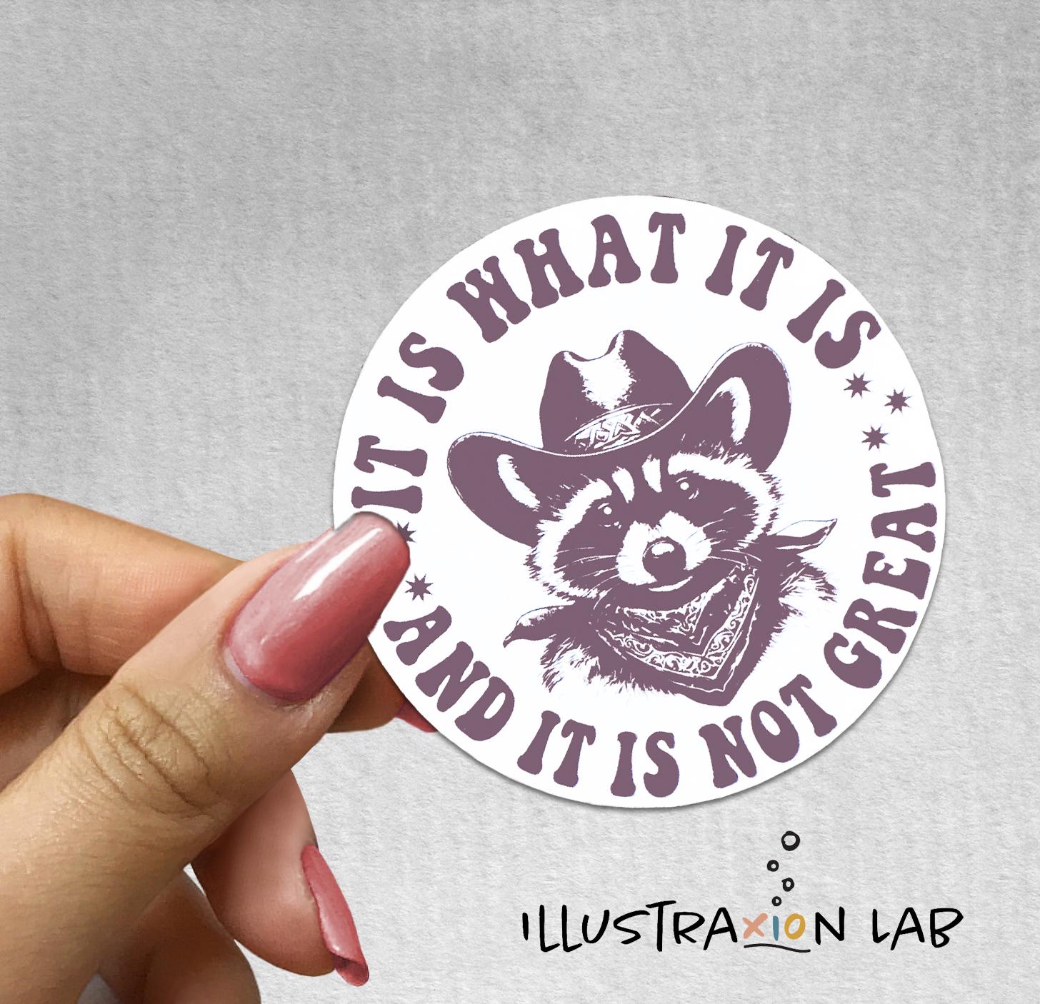 Aufkleber "It Is What It Is" – Waschbär-Meme, Wasserdichtes Vinyl, Für Flasche, Laptop & Helm, Sarkastisch & Lustig