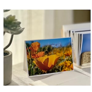 Wildblumen Mohnblumen, Grußkarte, Blanko, JW Geschenk, JW Karten, Ermutigung, Schrift, Surreale Bilder Galerie