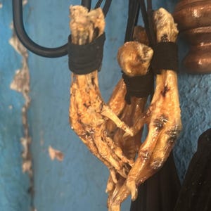 May include: A collection of dried animal feet, tied together with black twine. The feet are a light tan color, with visible bones and claws. The background is a light blue wall. The feet are hanging from a black metal fixture.