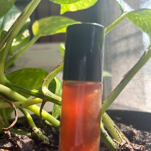 May include: A small, clear glass bottle with a black cap filled with a reddish-brown liquid. The bottle is sitting on a bed of brown soil.