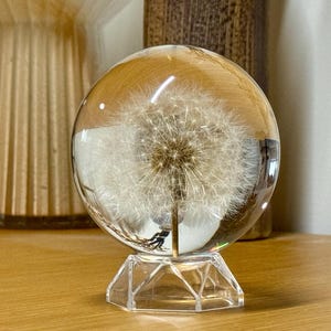 Fermacarte in resina a forma di dente di leone, sfera di dente di leone, decorazione per scrivania e ufficio a forma di dente di leone, dente di leone in resina, sfera di cristallo a forma di dente di leone, luce notturna
