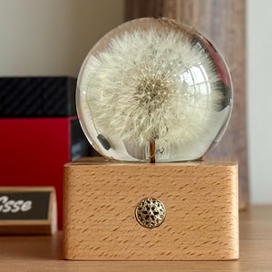 May include: A clear, spherical resin paperweight encasing a dandelion seed head, set on a wooden base with a decorative metal accent. The base is rectangular and the dandelion is centered in the sphere.