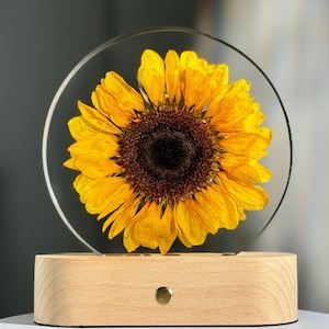 Real Sunflower in Resin Paperweight,Sunflower Night Light,Sunflower Ornament,Wedding Gift,Gift for Mom,Home Decor,Christmas Gift
