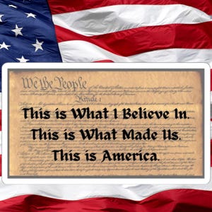 Democracy Stickers, U.S. Constitution Kiss-Cut Stickers, 4 Sizes, White or Transparent, Democratic Resistance