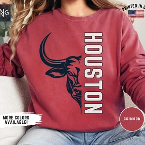 Houston Football Sweatshirt, Texan Football Gameday Sweatshirt, Texan Football Crewneck, Retro Texan Football Apparel, Texas Football Gift