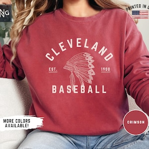 Cleveland Baseball Sweatshirt, Retro Guardians Baseball Sweatshirt, Guardians Baseball Gift, Cleveland Sports Fan Apparel, Guardians Gift