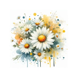 13 JPG Clipart di fiori margherita dell'acquerello, stampa margherita, download digitale