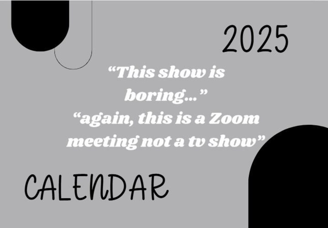2025 Sarcastic Planner 2025 Funny Calendar Office Planner and Calendar