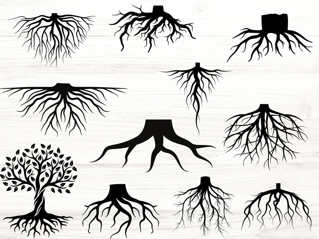 Root Craft Vector Tree Roots SVG File for Cricut, Bundle Collection of Roots, Vector ...