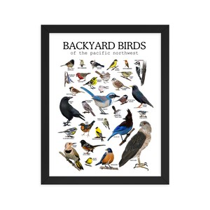 Oeuvre d'art encadrée Oiseaux du nord-ouest du Pacifique | Carte des oiseaux | Cadeau pour les ornithologues amateurs | PNW Art | Illustration des types d'oiseaux