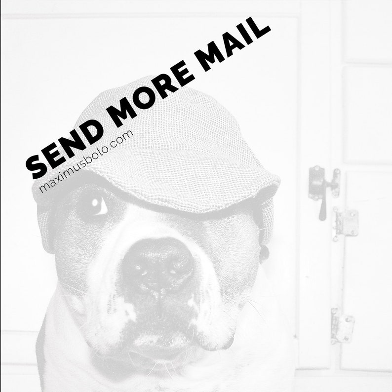 Maximusbolo/'s photo \u201cBaby Catto\u201d in a set of 5x5 Postcards and Envelopes. 5