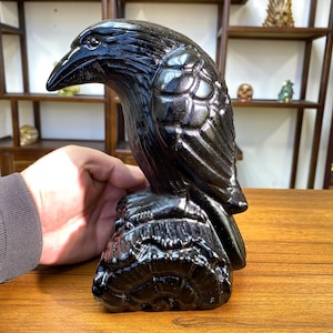 8&#39;&#39; Large Natural obsidian bird ,Hand carved crow skull,Crystal bird skull,Crystal Raven,Home Decoration ,Gifts,Crystal Carving