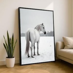 Elegant White Horse in Snow Canvas Wall Art Print | Minimalist Living Room Decor | Statement Piece