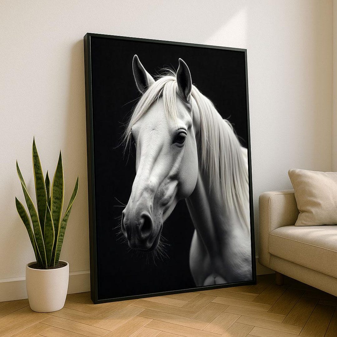 Majestic White Horse Canvas Wall Art Print | Monochrome Living