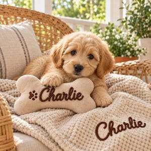 Op de afbeelding: Een lichtbeige, getextureerd, botvormig pluche speeltje met de naam Charlie en een pootafdruk geborduurd in donkerbruine draad, naast een bijpassende beige getextureerde deken met de naam Charlie geborduurd in donkerbruine draad.