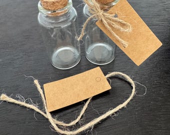 Small Glass Bottles with Cork – DIY Craft, Wish Bottle, Terrarium Jars (Set of 2)
