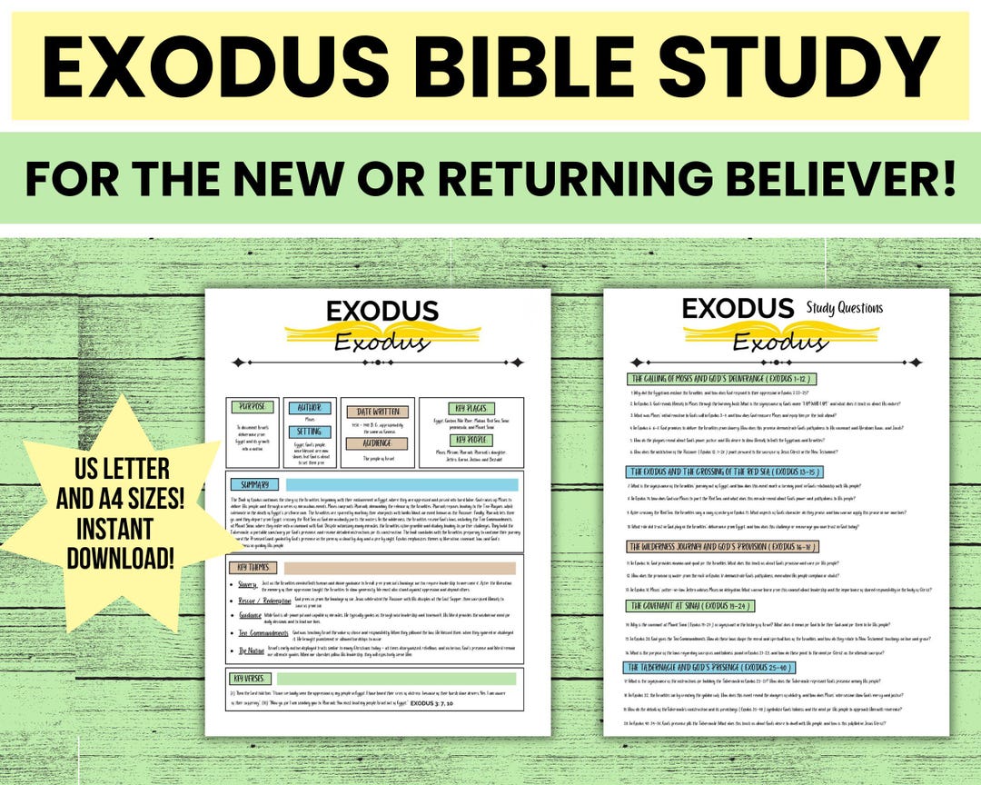 Exodus Bible Study for New Believer - Beginner Women’s Bible Study ...