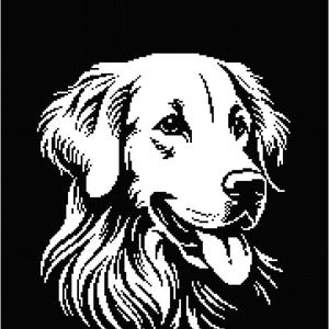 May include: Black and white line art illustration of a Golden Retriever dog's head. The dog is looking to the right with its tongue sticking out.