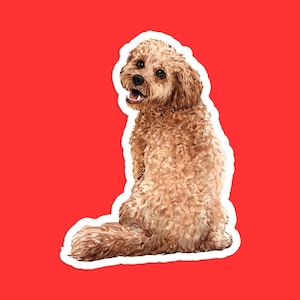 Realistic Cockapoo Sticker: Detailed Dog Art, Pet Lover Decor