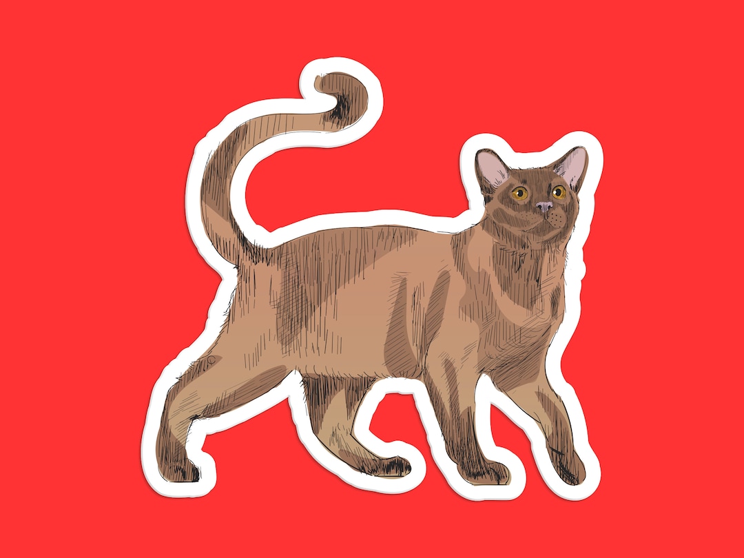 ビルマ猫ステッカー：セーブルブラウンの光沢のある毛並みのビニール製デカール - Etsy 日本, image size:1080x810