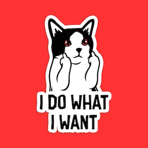 I Do What I Want Sticker, Funny Cat Decal, Quirky Animal Art, Humorous Cartoon, Unique Cat Design, Cute Cat Sticker, Sarcastic Sticker