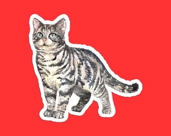 Realistic Tabby Cat Sticker: Weather-Resistant Vinyl Decal