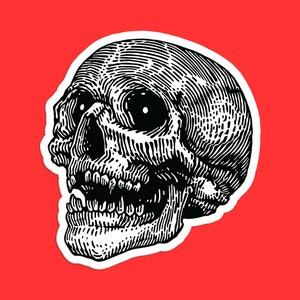 Line Sketch Skull Sticker, Detailed Skull Illustration, Vintage Anatomical Skull, Black and White Skull Art, Gothic Tattoo Style Skull