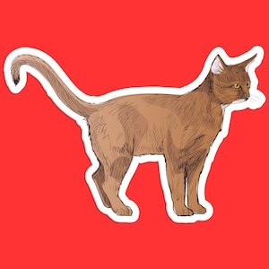 Abyssinian Cat Sticker, Elegant Abyssinian Art, Detailed Cat Decal