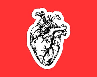 Anatomical Heart Sticker, Detailed Line Art, Black and White Vintage Heart Design