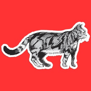 American Shorthair Cat Sticker, Realistic Tabby Cat Art, Detailed Cat Decal