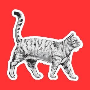 British Shorthair Cat Sticker, Elegant British Shorthair Art, Detailed Cat Decal