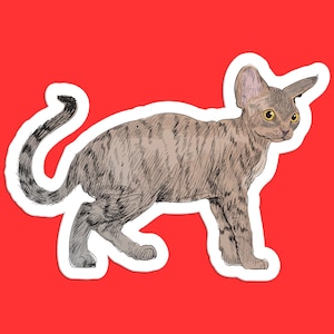 May include: A hand-drawn illustration of a brown and gray cat with yellow eyes. The cat is standing on all fours and has its tail curled around its body. The illustration is on a white background.