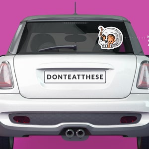 K&ouml;nnte beinhalten: Ein wei&szlig;er Mini Cooper mit einem Aufkleber auf der Heckscheibe, auf dem "DONTEATTESE" steht, und einem kleineren Aufkleber mit einem Sch&auml;del, in dem sich eine Katze befindet. Der Sch&auml;del-Aufkleber ist etwa 11 Zoll gro&szlig;.