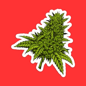 Marijuanaknoppklistermärke, detaljerad cannabiskonst, dekor för ogräskultur