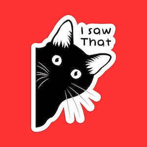 I Saw That Cat Sticker, Funny Cat Decal, Quirky Animal Art, Humorous Cartoon, Unique Cat Design, Cute Cat Sticker, Playful Sticker