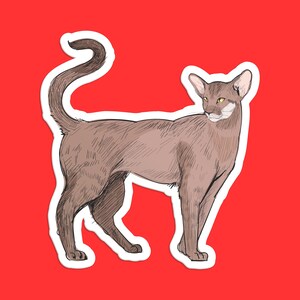 Oriental Shorthair Cat Sticker, Elegant Cat Illustration, Sleek Cat Decal, Oriental Shorthair Lover Gift, Unique Cat Breed Sticker