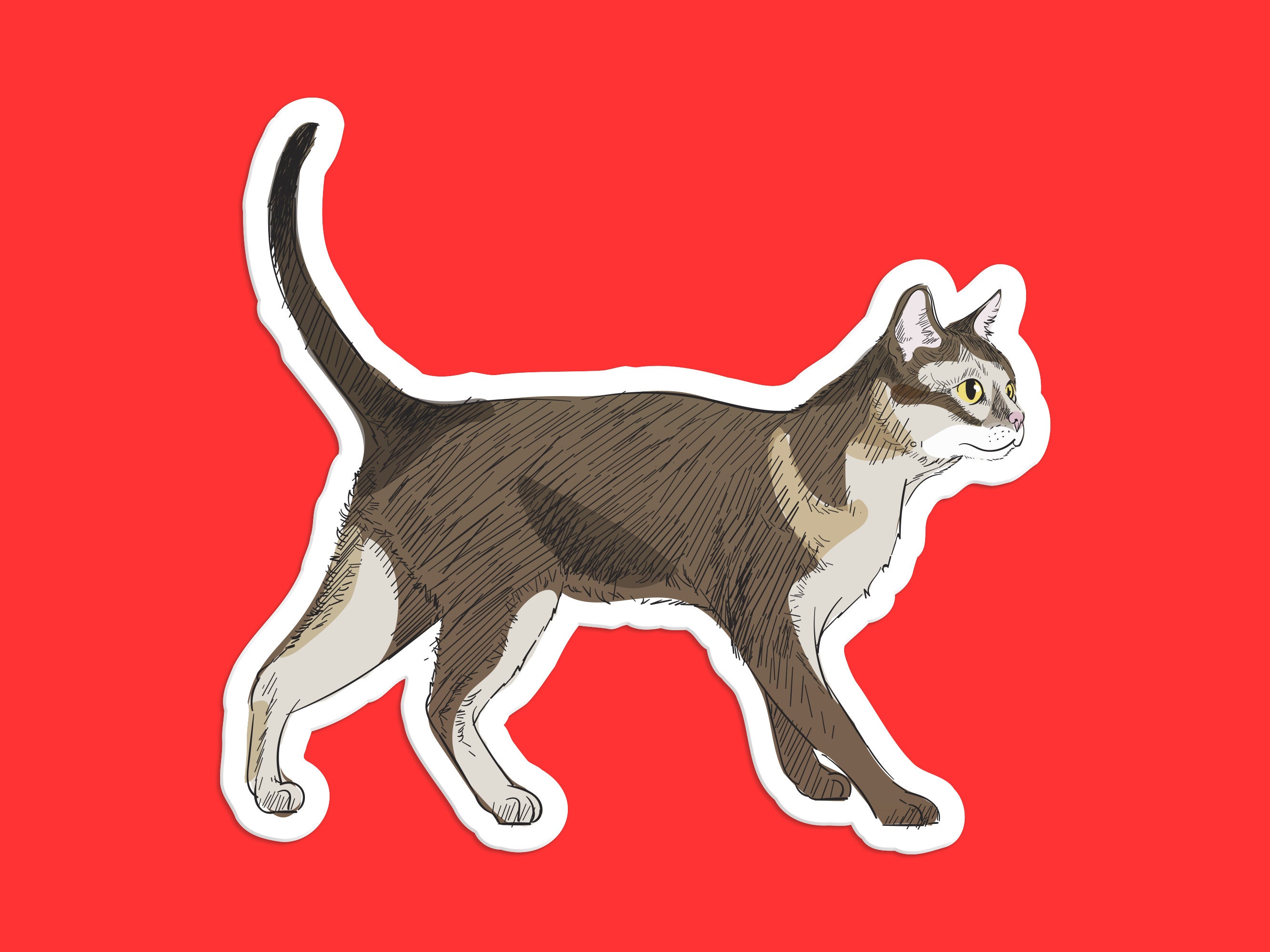 Singapura Cat Sticker: Lifelike Illustration, Playful Pose