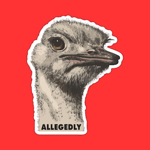 Allegedly Ostrich Sticker, Funny Animal Decal, Witty Ostrich Design