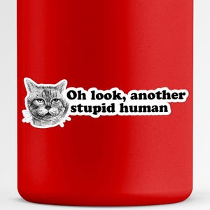 Oh, mira, otra pegatina de gato humano estúpido - Calcomanía sarcástica y divertida para mascotas