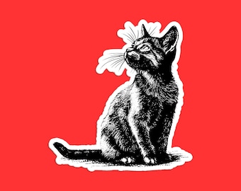 Black Cat Sticker - Detailed Cat Illustration Decal