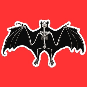 May include: A black and white illustration of a bat skeleton with its wings spread out. The bat is on a red background.