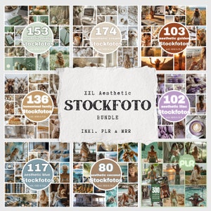 美的ストック フォト バンドル、1100 を超える美的ストック写真、PLR および MRR ライセンスが含まれています、Instagram、ウェブサイト デザイン用